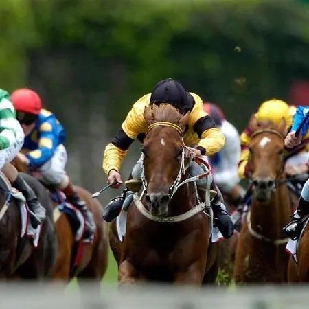 House Ξενοδοχείο