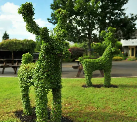 House Ξενοδοχείο Cahir